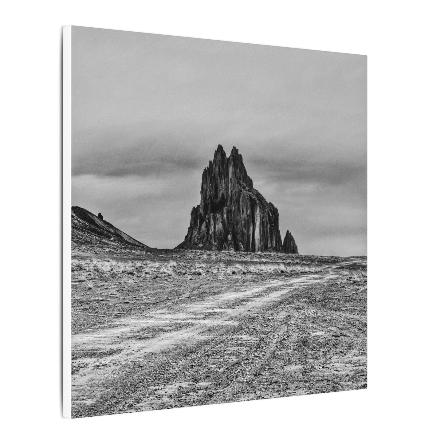 Black Sparrow- Eclipse Collection .75" Depth Blended Canvas Print