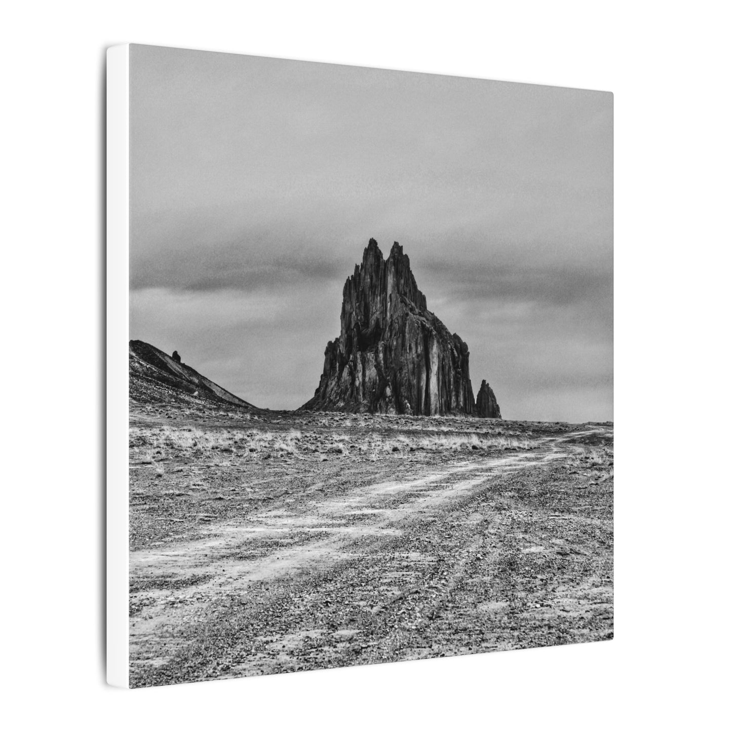 Black Sparrow- Eclipse Collection .75" Depth Blended Canvas Print