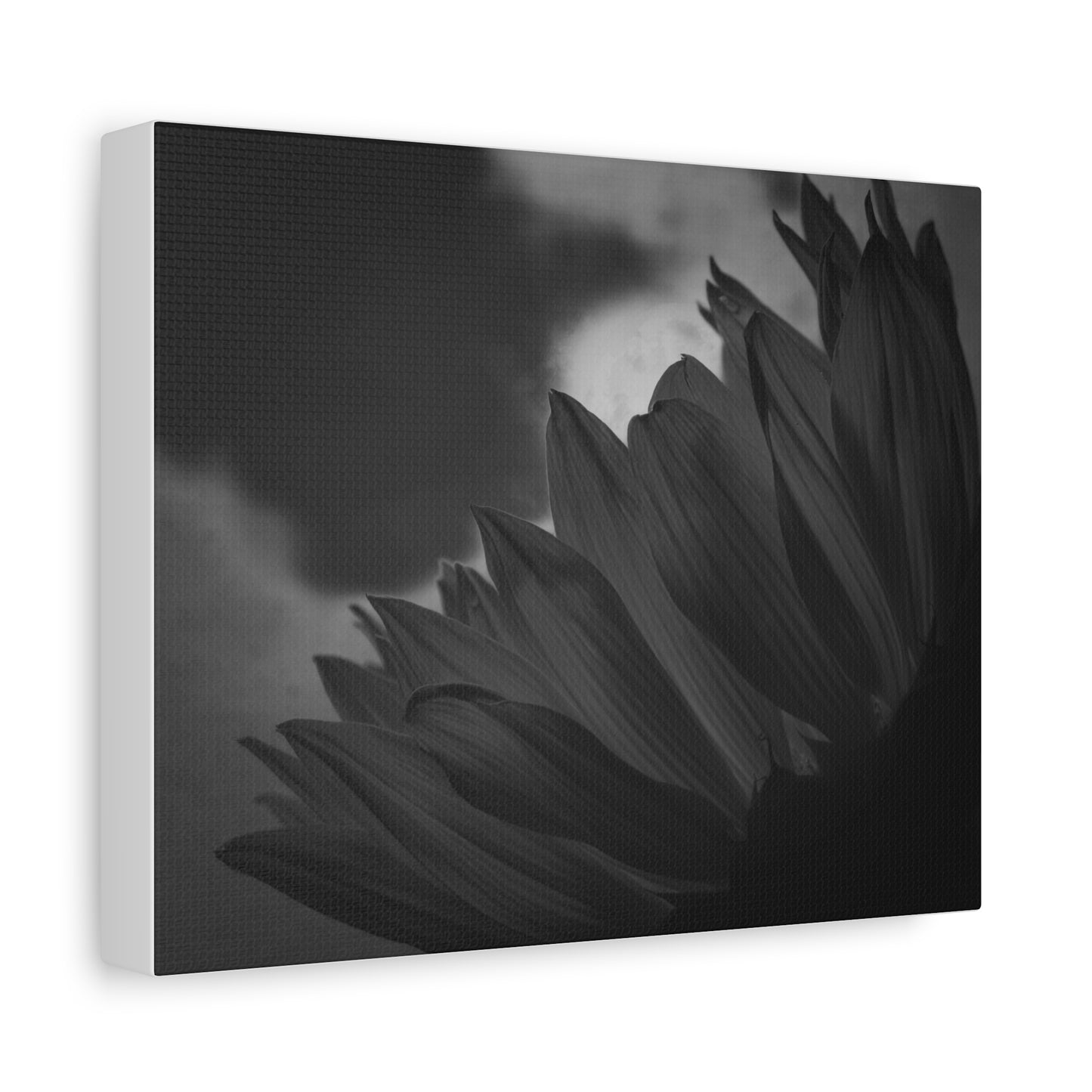 Negative Beauty- Eclipse Collection Premium Canvas, Stretched, 1.25"