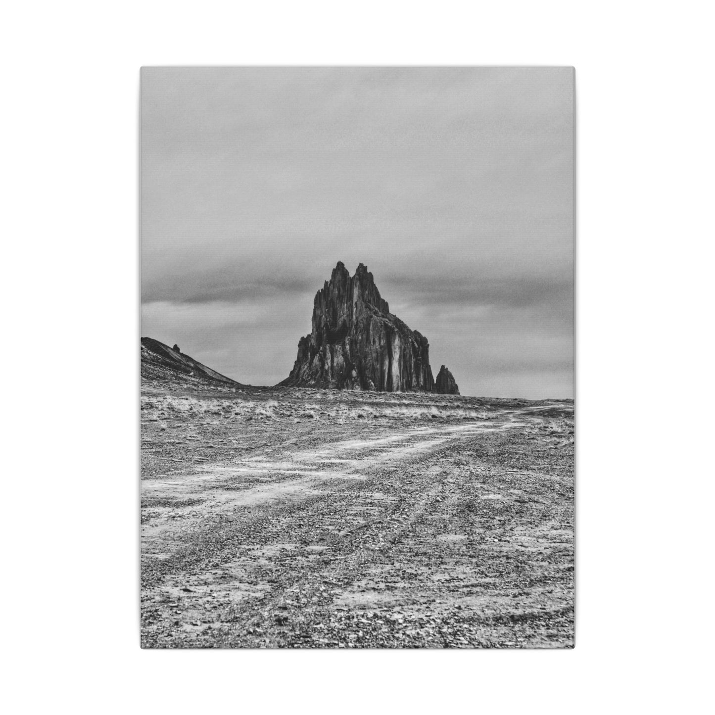 Black Sparrow- Eclipse Collection .75" Depth Blended Canvas Print