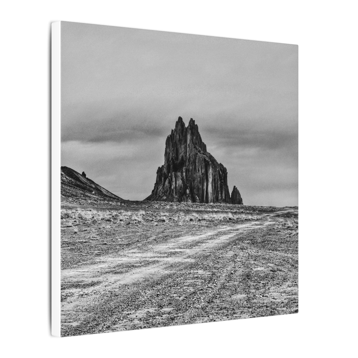 Black Sparrow- Eclipse Collection .75" Depth Blended Canvas Print