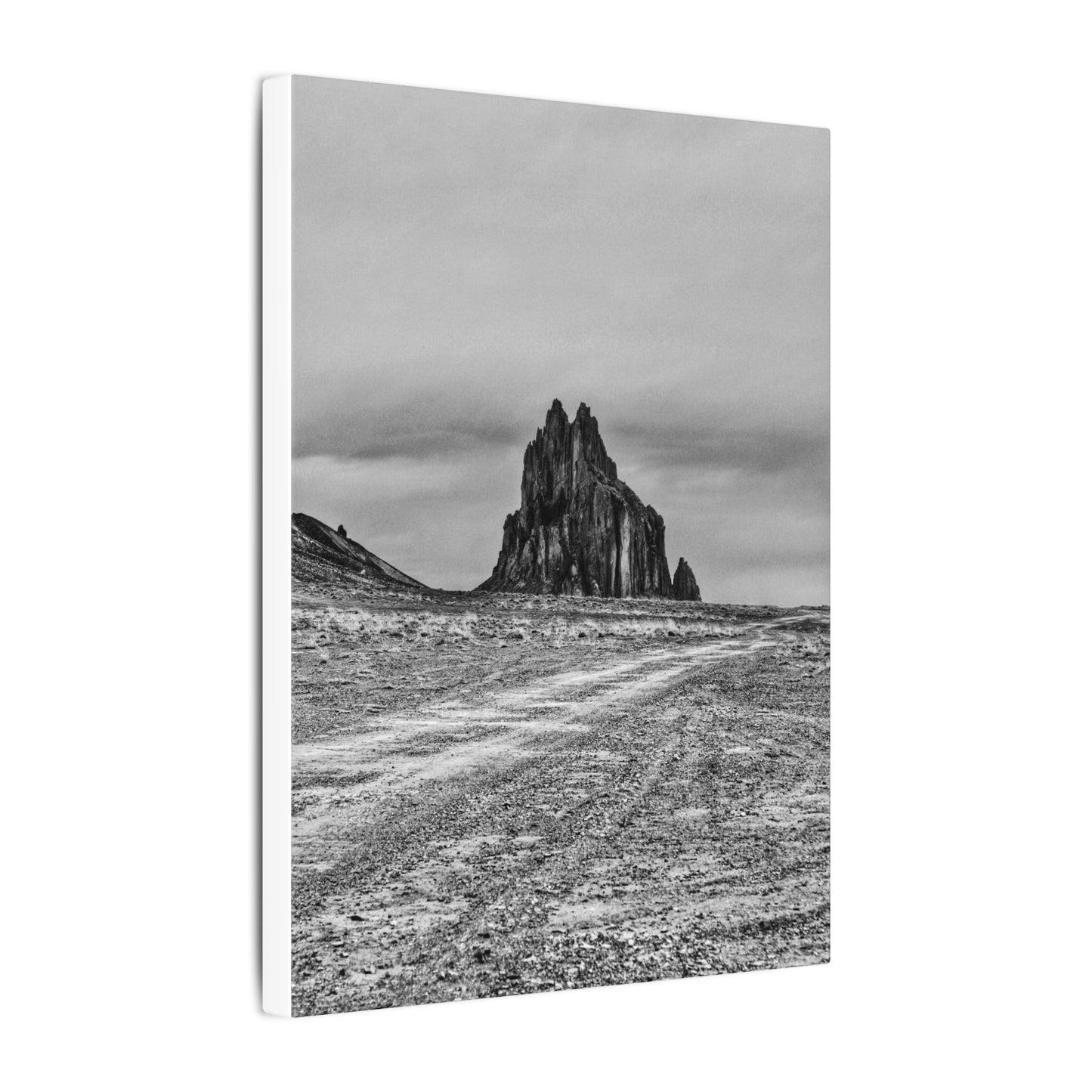 Black Sparrow- Eclipse Collection .75" Depth Blended Canvas Print