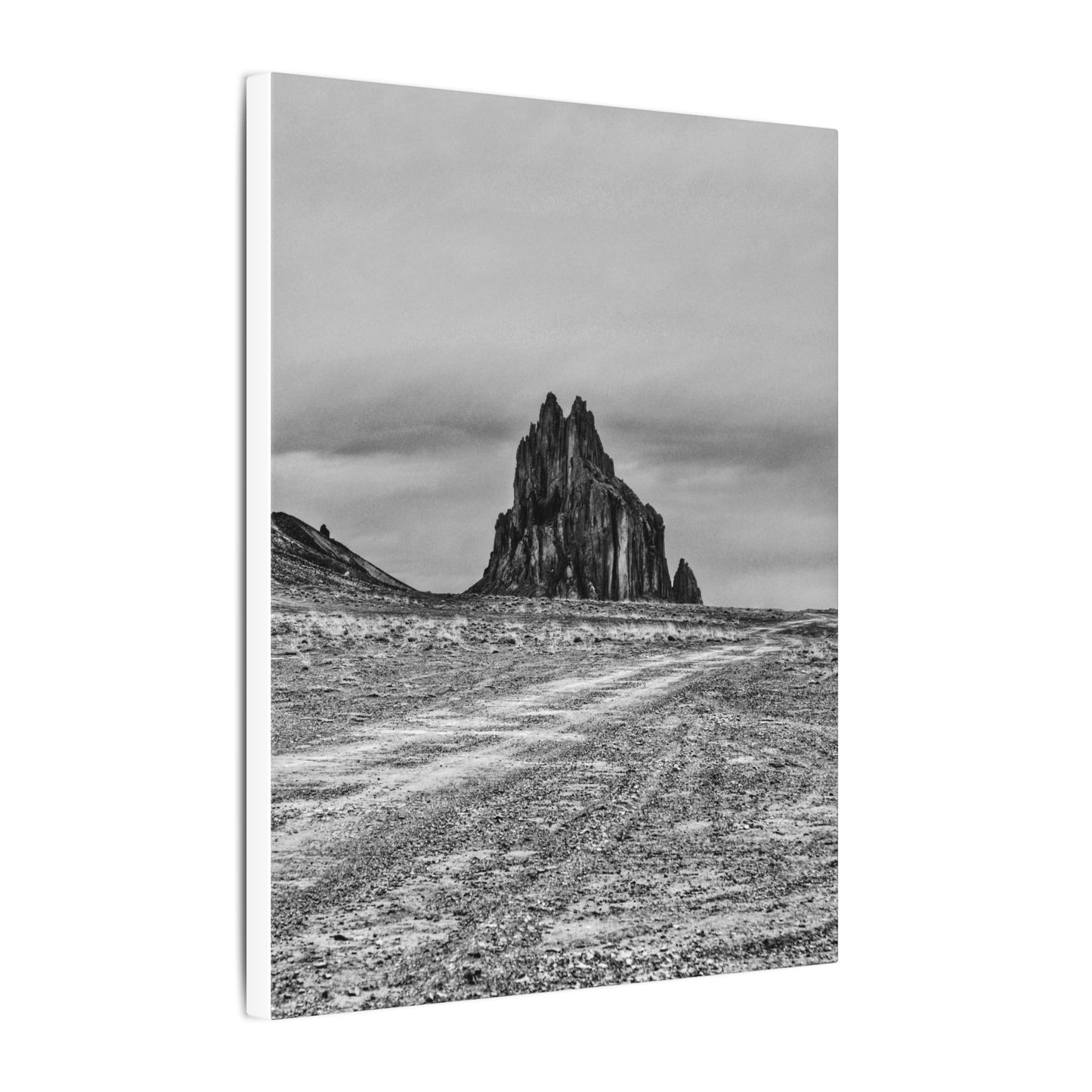 Black Sparrow- Eclipse Collection .75" Depth Blended Canvas Print