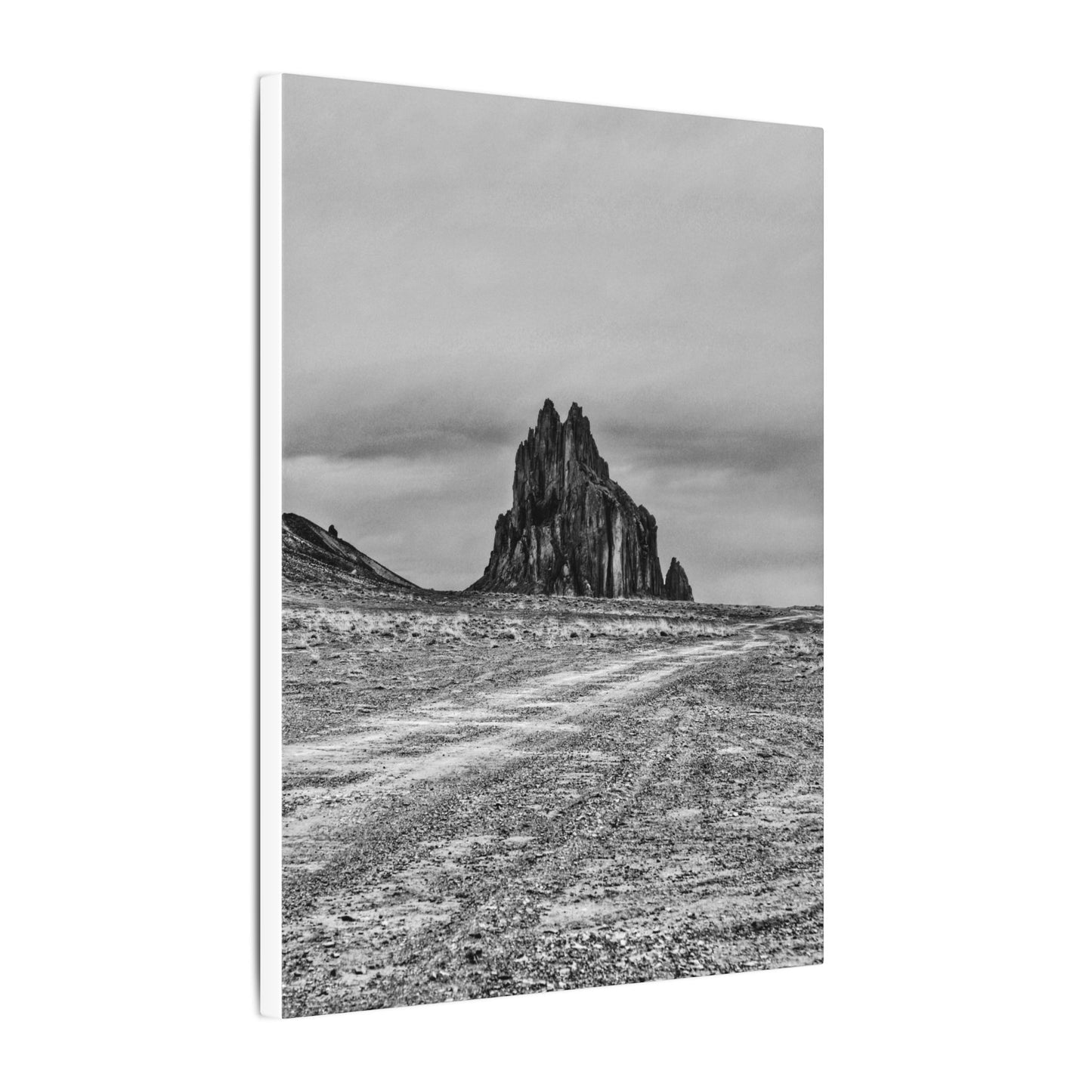 Black Sparrow- Eclipse Collection .75" Depth Blended Canvas Print
