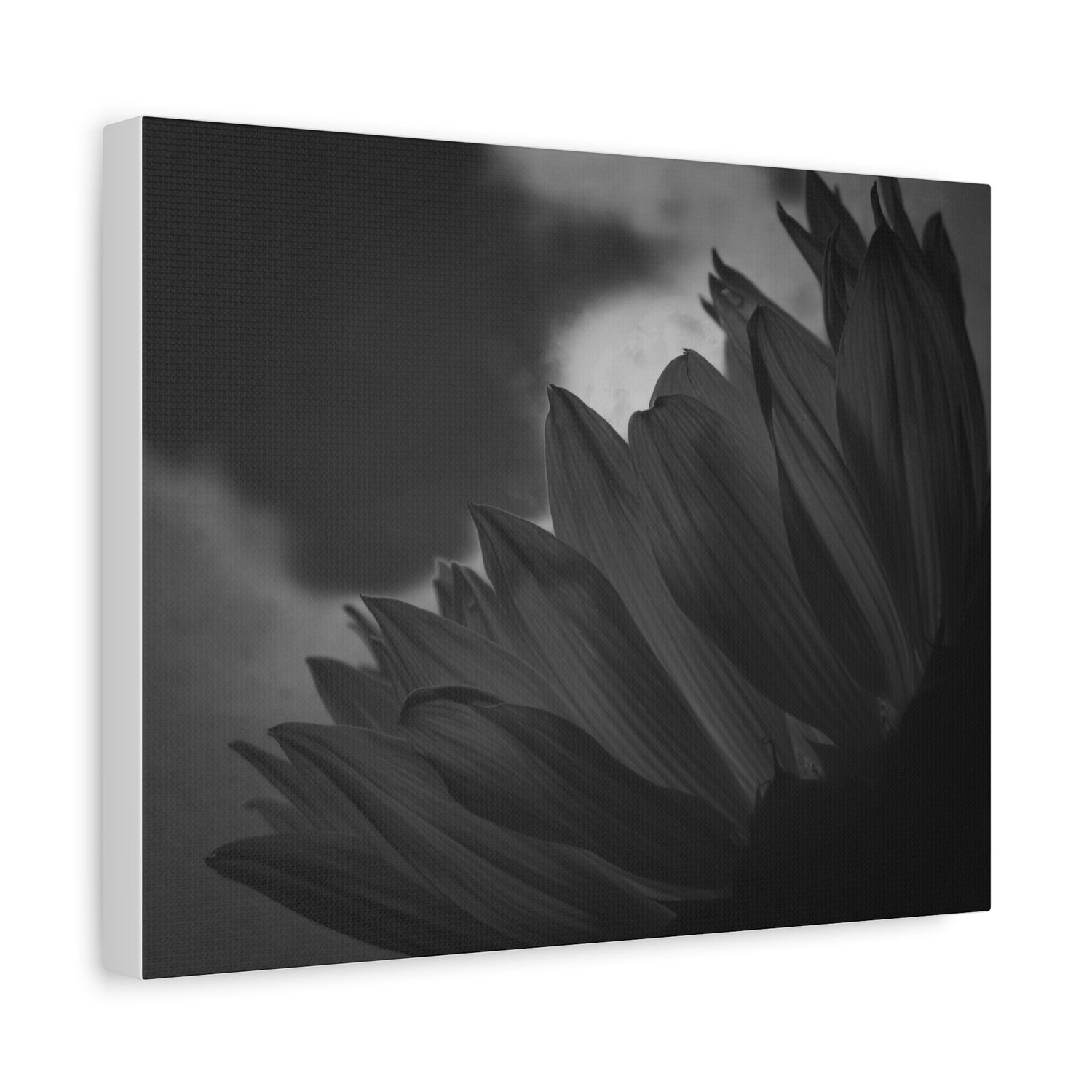 Premium Canvas Prints – 1.25" Depth