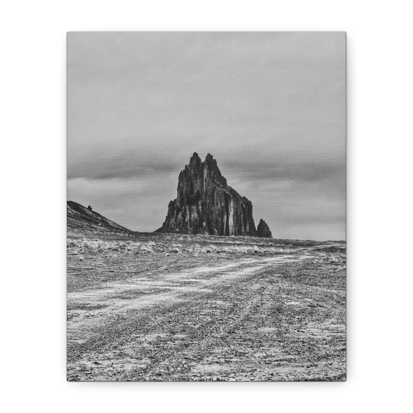 Black Sparrow- Eclipse Collection Premium Canvas, Stretched, 1.25"