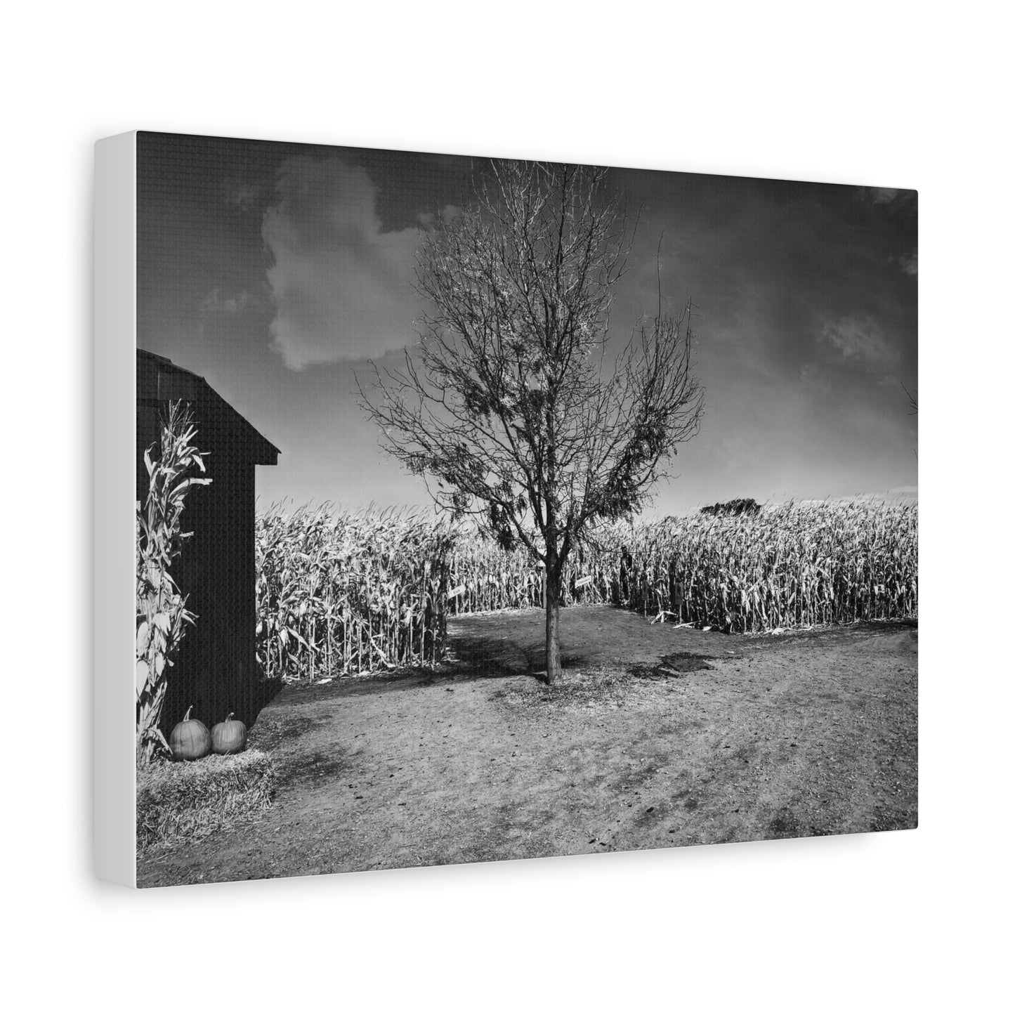 Children in the Corn- Eclipse Collection- Premium Canvas, Stretched, 1.25"
