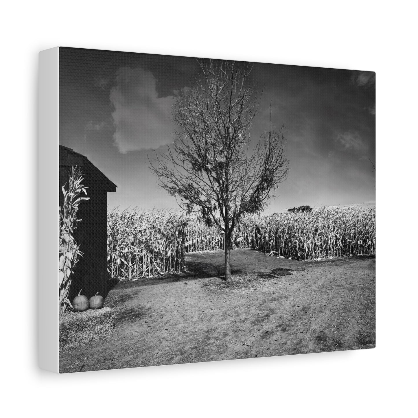 Children in the Corn- Eclipse Collection- Premium Canvas, Stretched, 1.25"