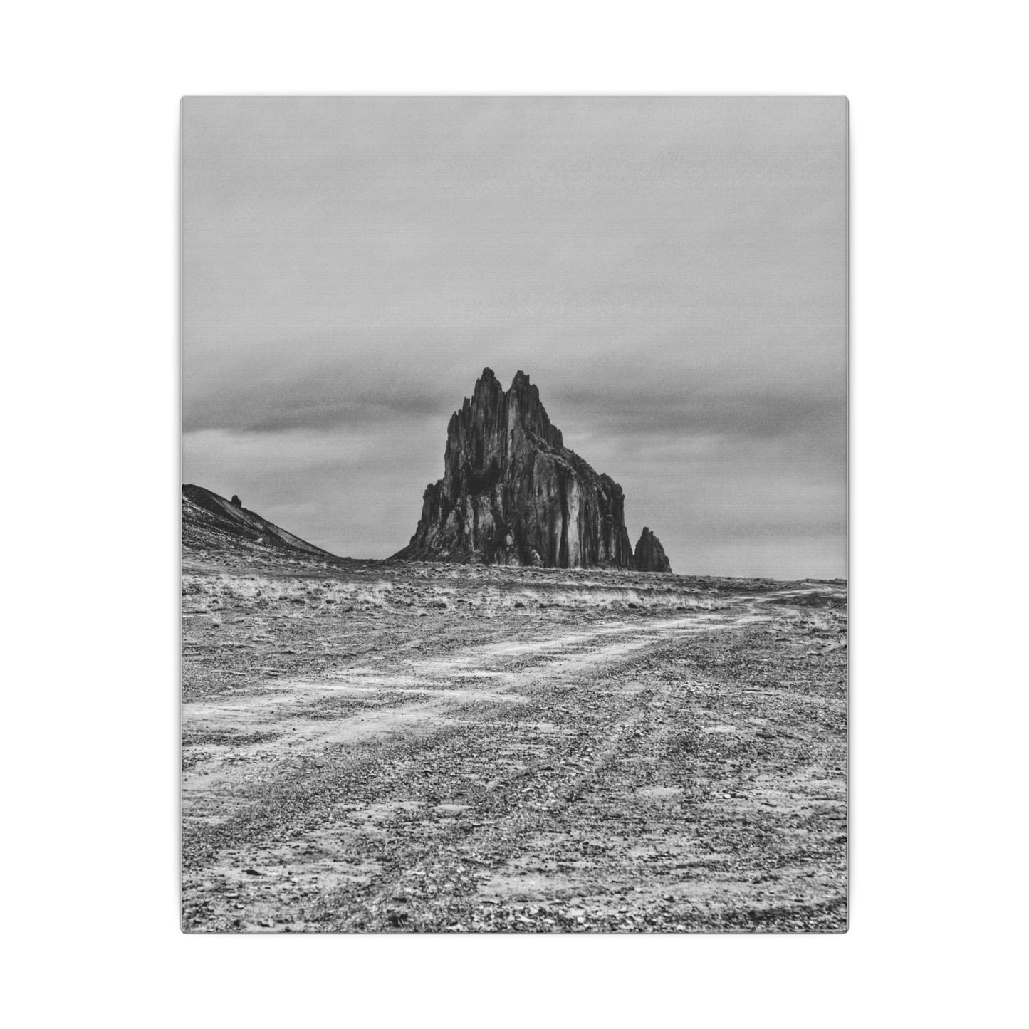 Black Sparrow- Eclipse Collection .75" Depth Blended Canvas Print