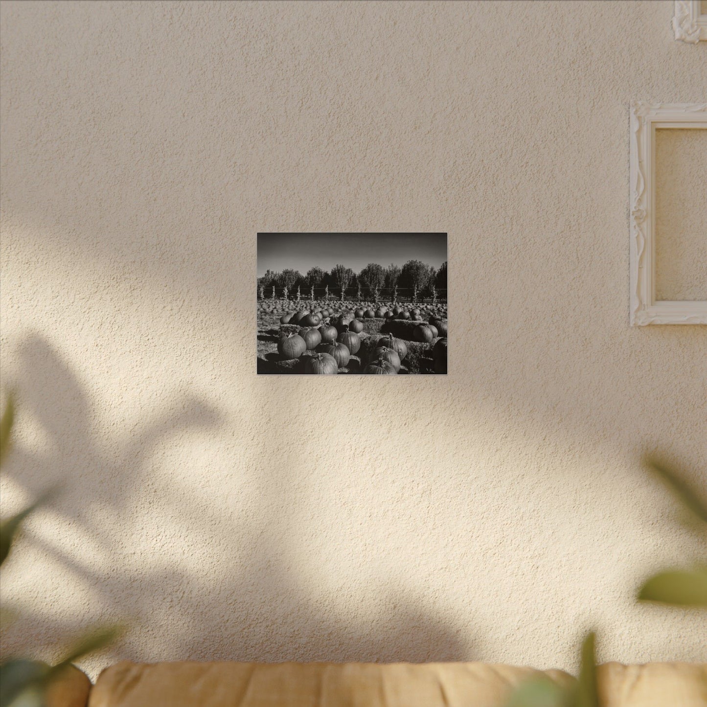 Harvest in Monochrome- Eclipse Collection- .75" Depth Blended Canvas Print