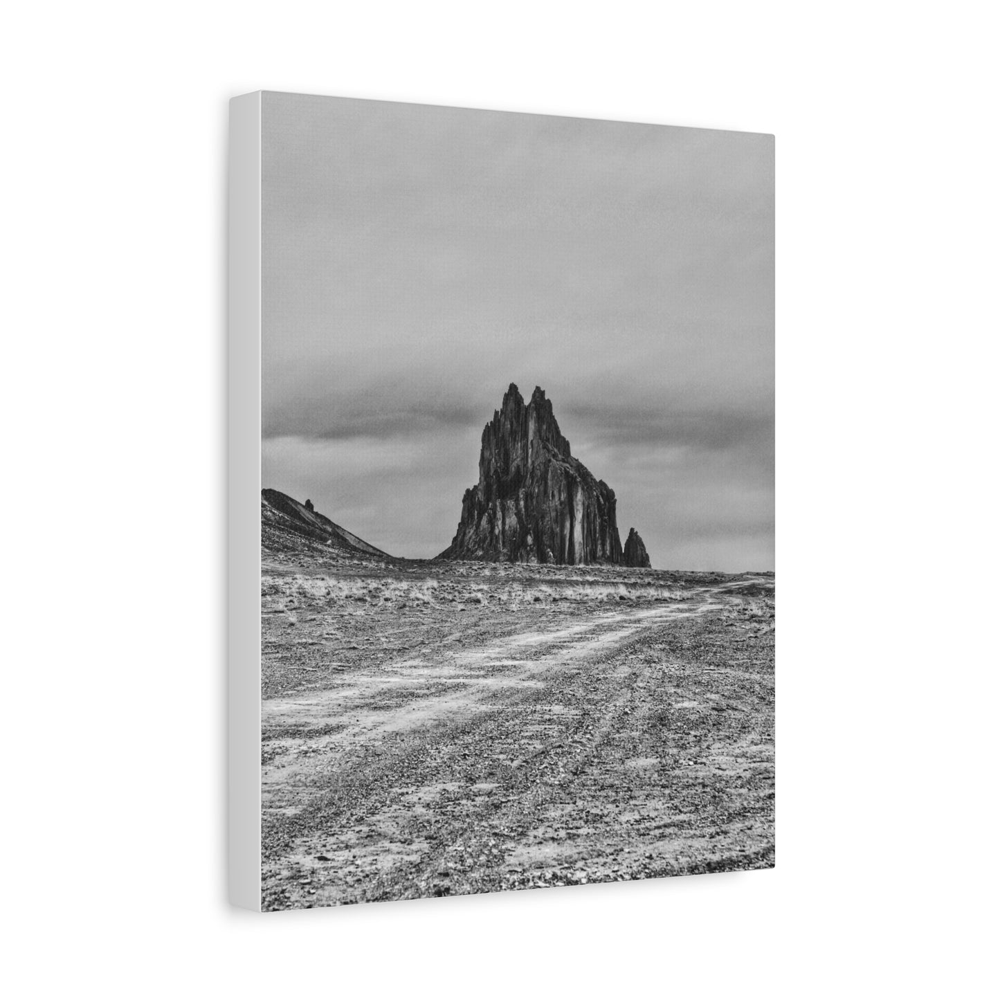 Black Sparrow- Eclipse Collection Premium Canvas, Stretched, 1.25"