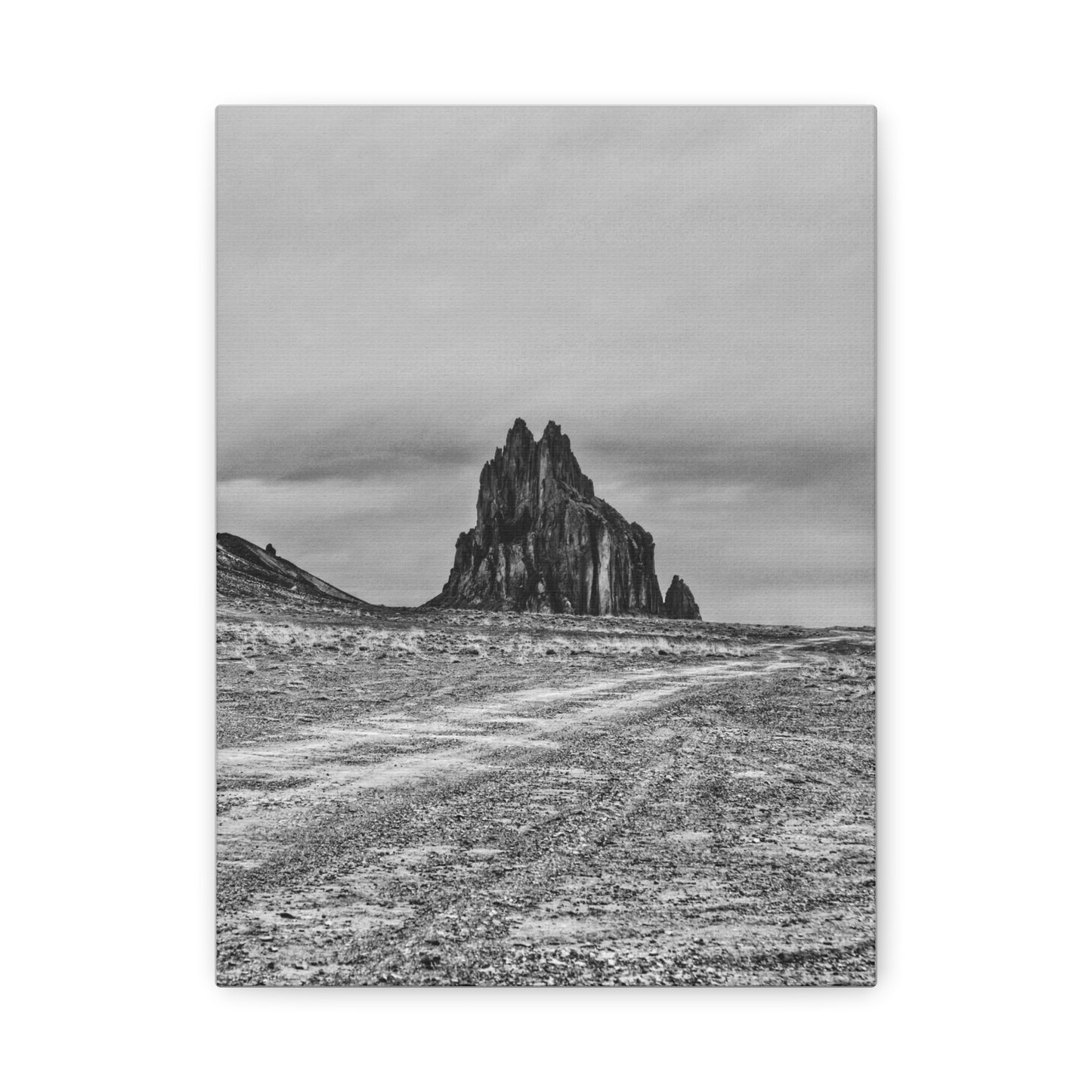 Black Sparrow- Eclipse Collection Premium Canvas, Stretched, 1.25"