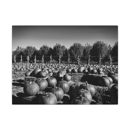 Harvest in Monochrome- Eclipse Collection- .75" Depth Blended Canvas Print
