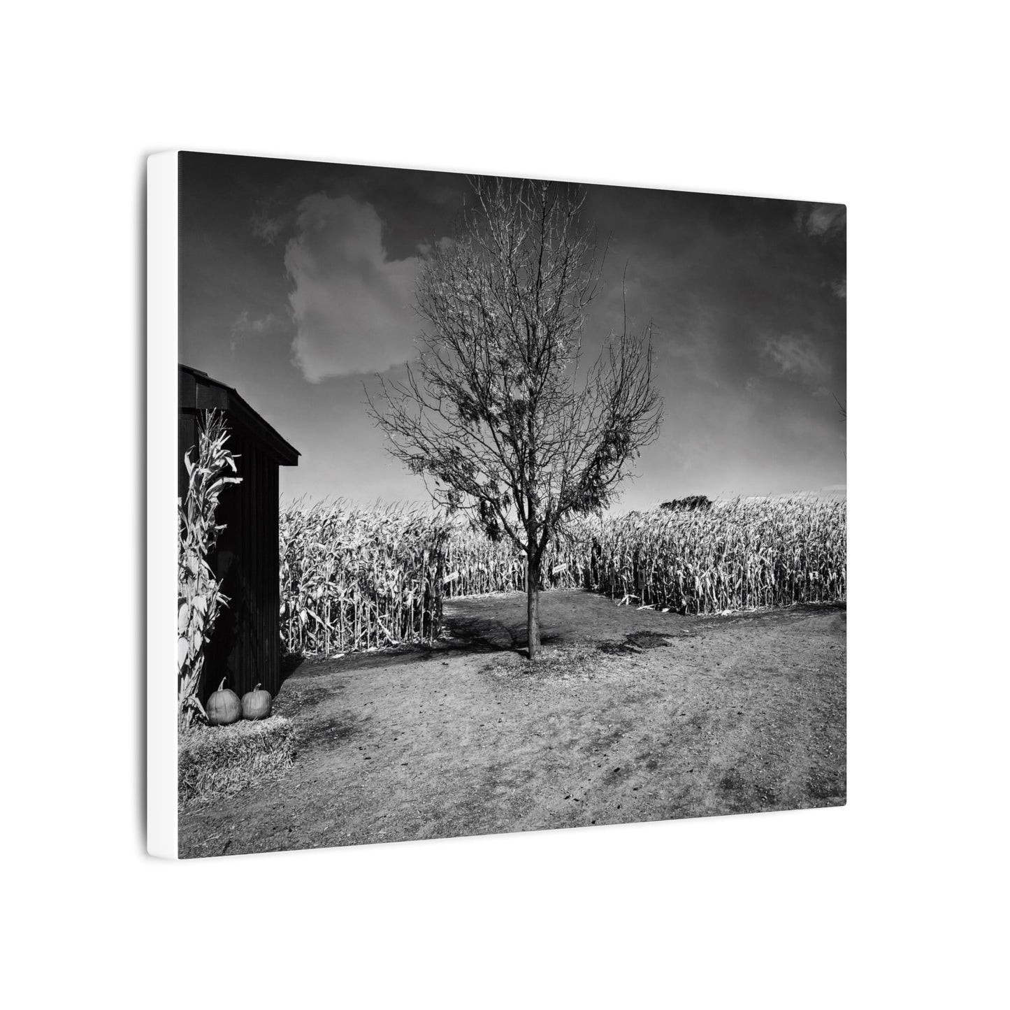 Children in the Corn- Eclipse Collection .75" Depth Blended Canvas Print