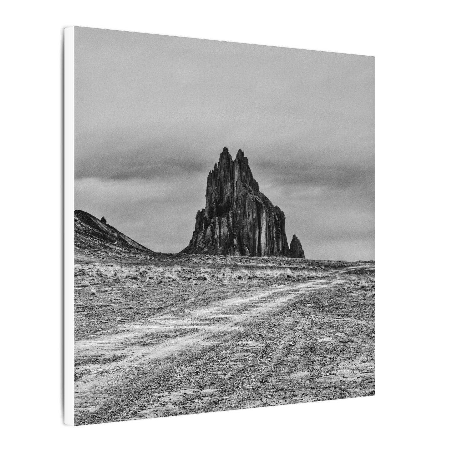 Black Sparrow- Eclipse Collection .75" Depth Blended Canvas Print