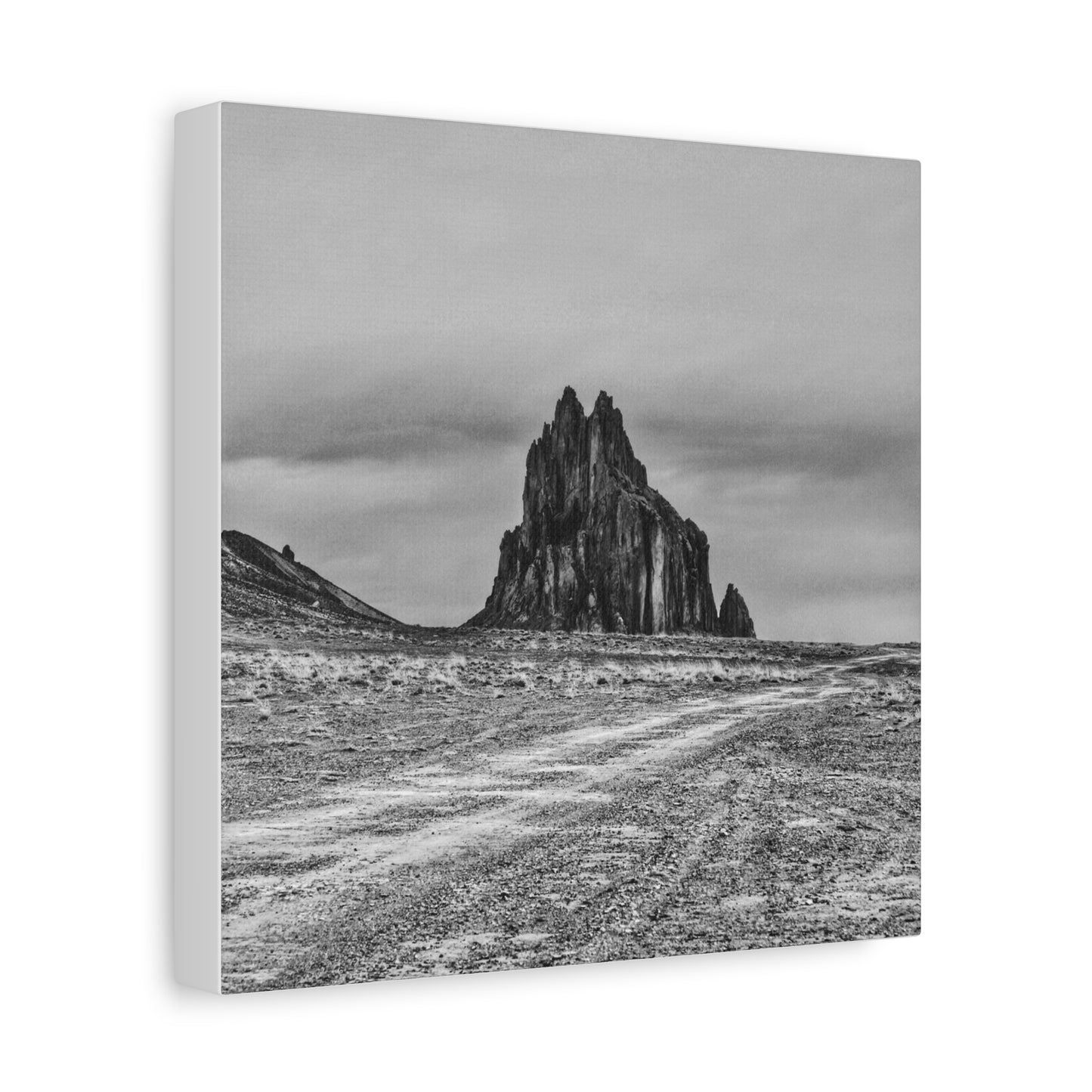 Black Sparrow- Eclipse Collection Premium Canvas, Stretched, 1.25"