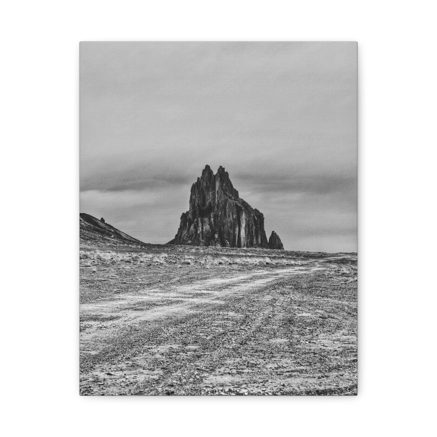 Black Sparrow- Eclipse Collection Premium Canvas, Stretched, 1.25"
