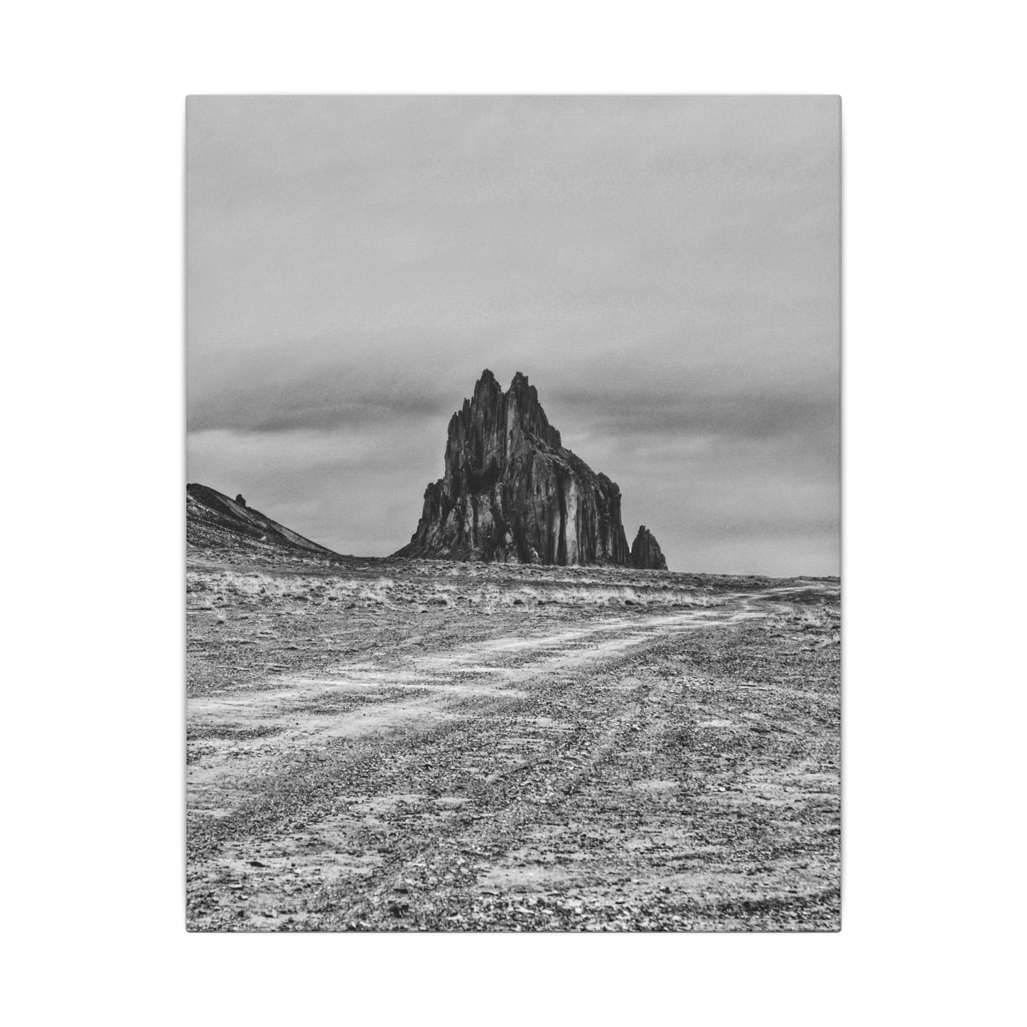 Black Sparrow- Eclipse Collection .75" Depth Blended Canvas Print