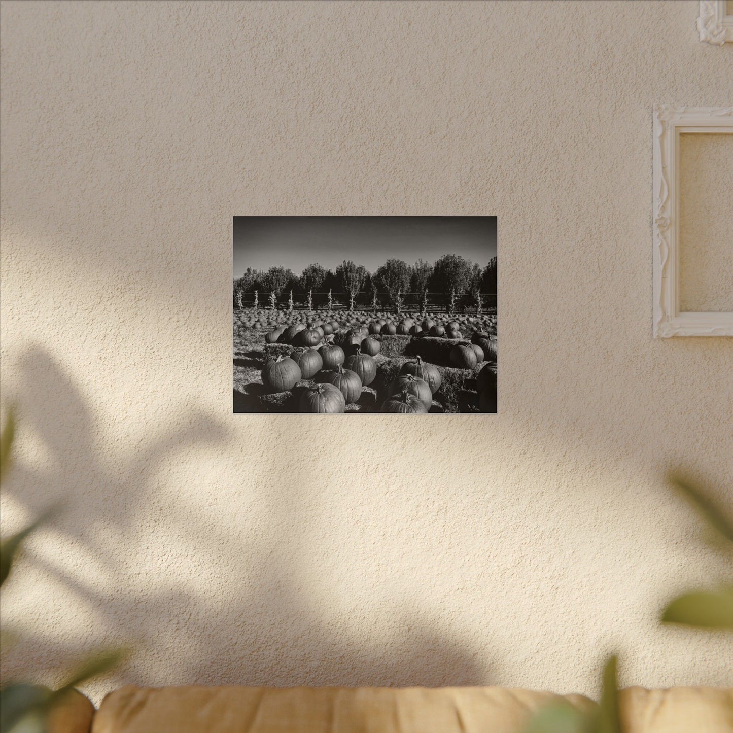 Harvest in Monochrome- Eclipse Collection- .75" Depth Blended Canvas Print