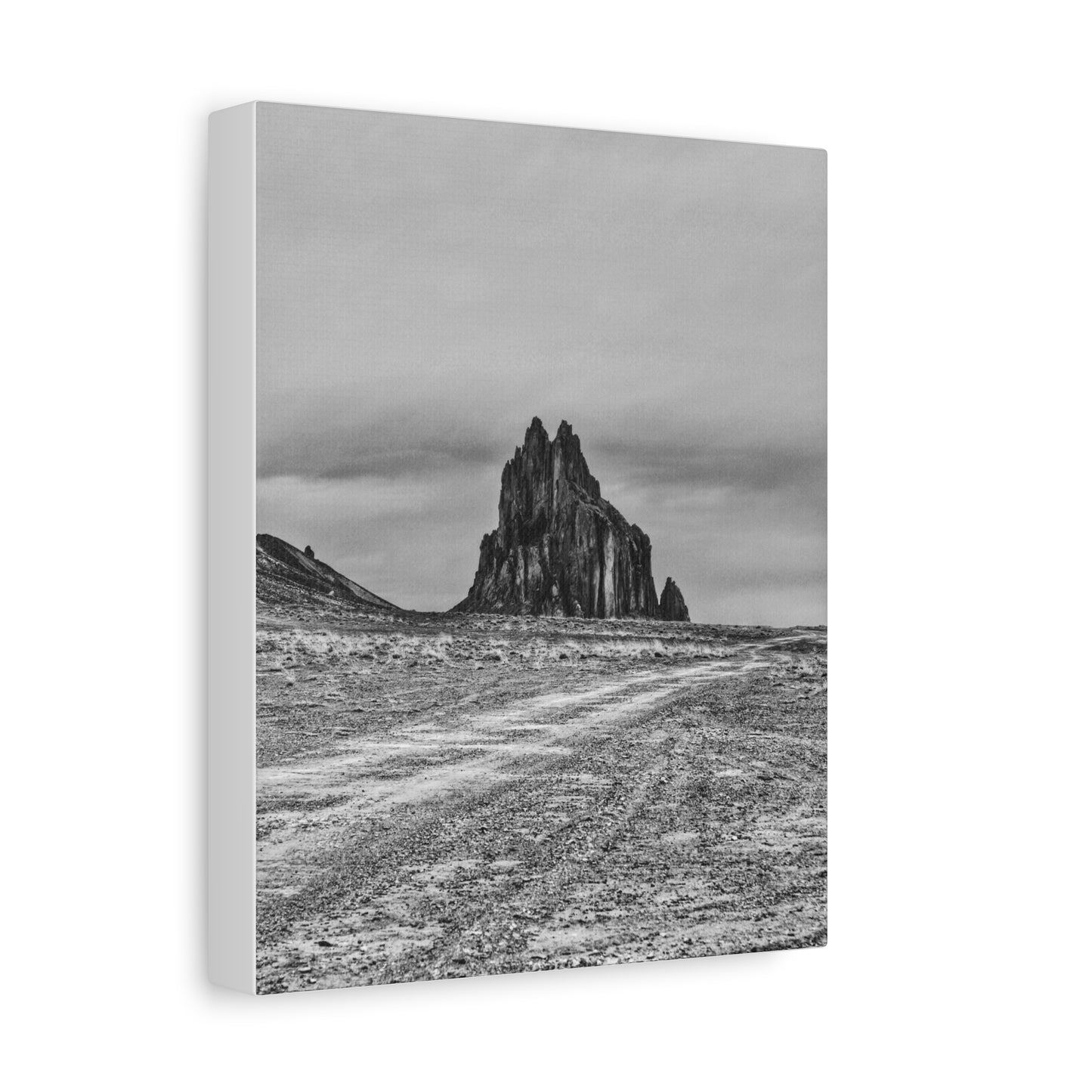 Black Sparrow- Eclipse Collection Premium Canvas, Stretched, 1.25"