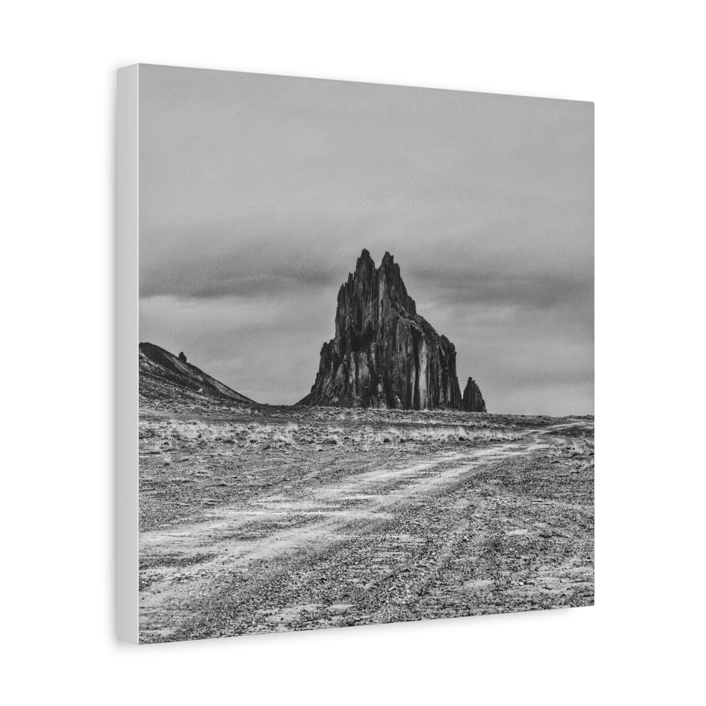 Black Sparrow- Eclipse Collection Premium Canvas, Stretched, 1.25"