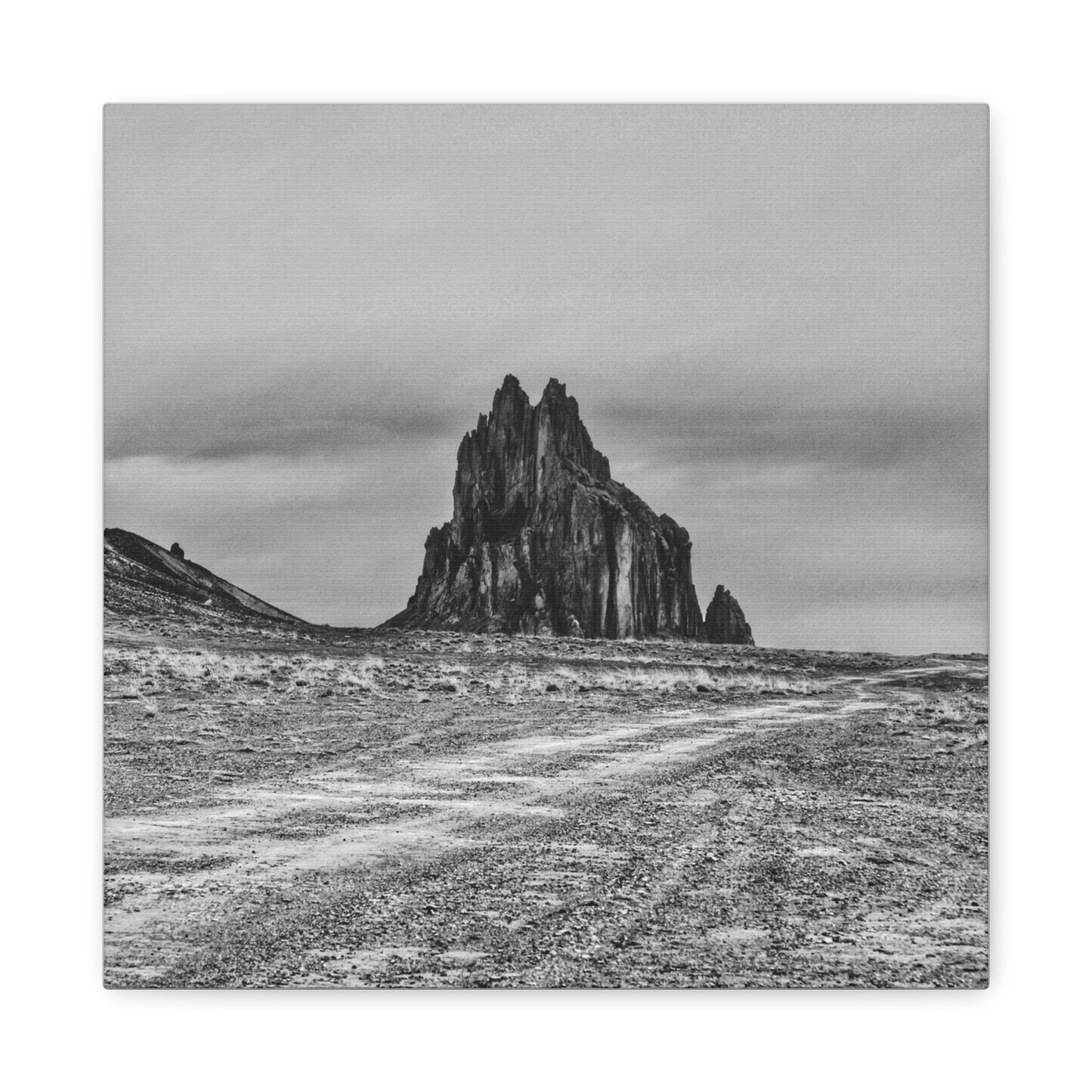 Black Sparrow- Eclipse Collection Premium Canvas, Stretched, 1.25"