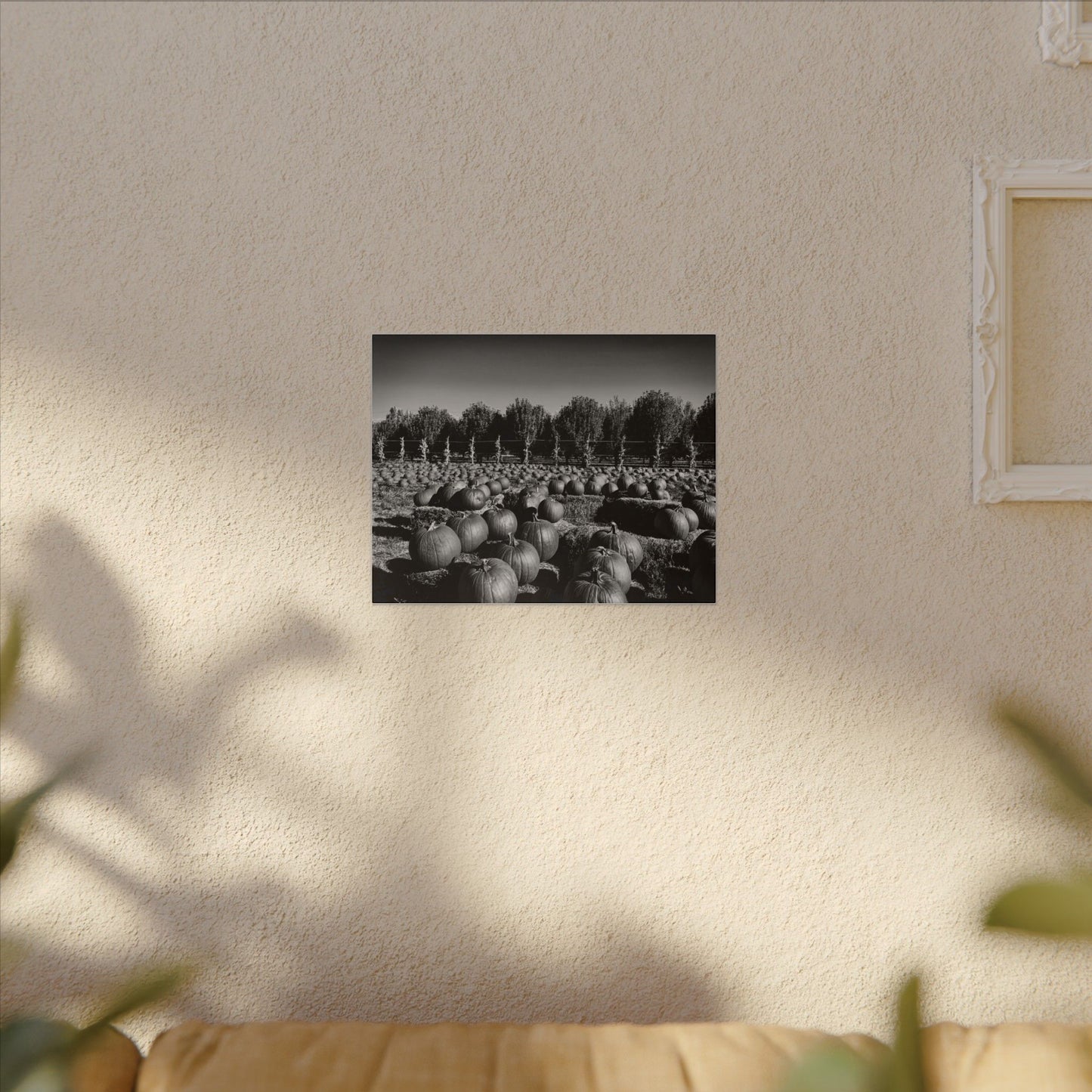 Harvest in Monochrome- Eclipse Collection- .75" Depth Blended Canvas Print