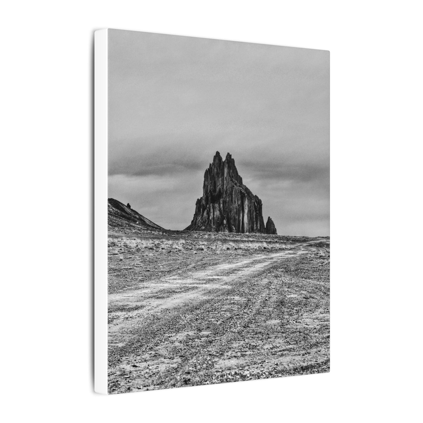 Black Sparrow- Eclipse Collection .75" Depth Blended Canvas Print