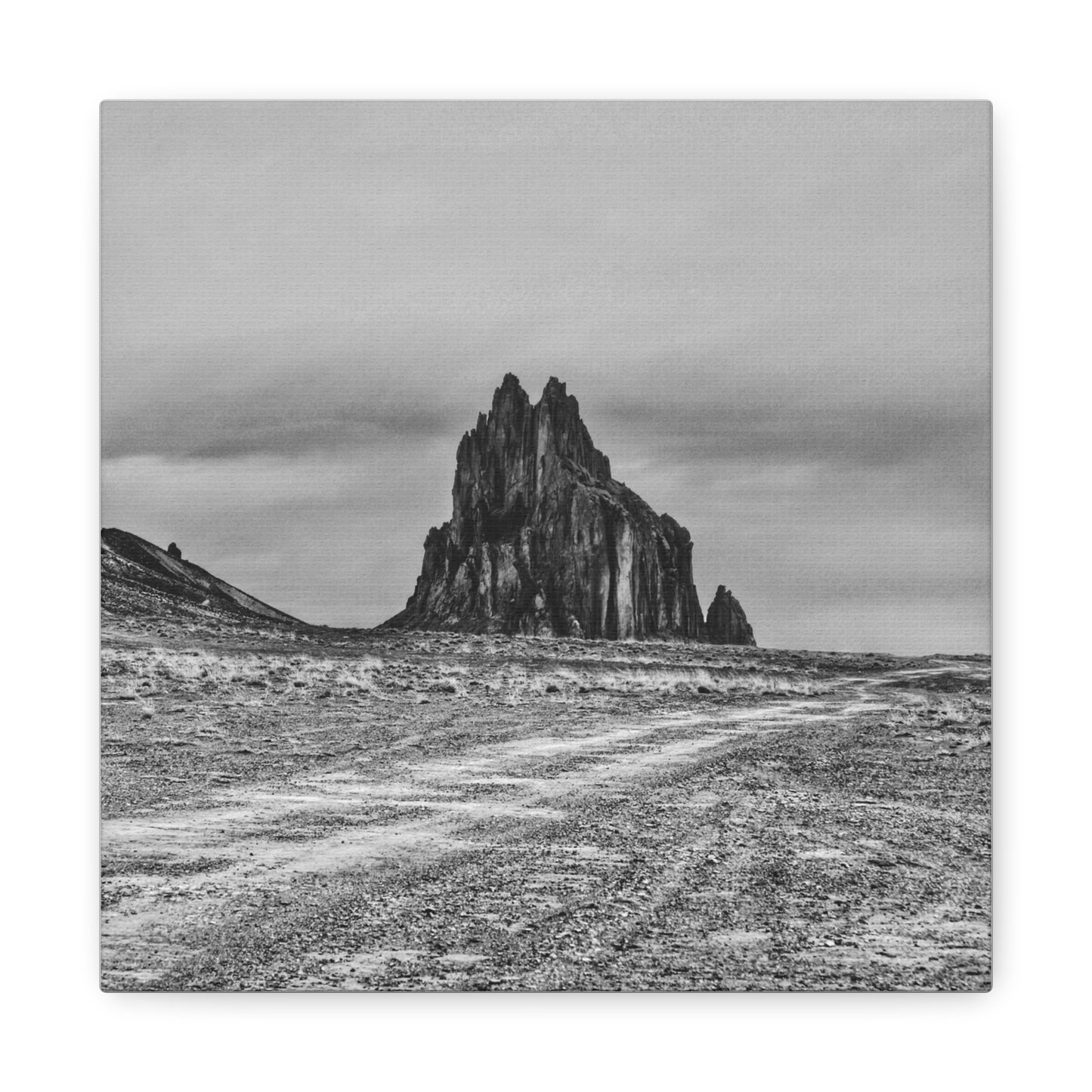 Black Sparrow- Eclipse Collection Premium Canvas, Stretched, 1.25"