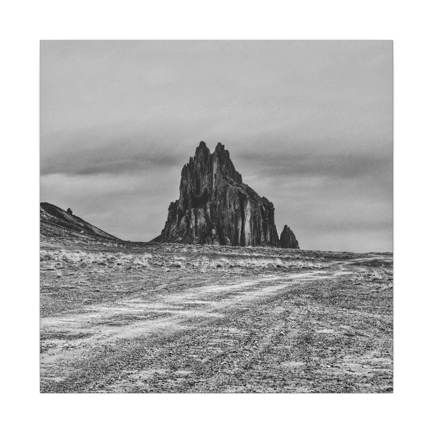 Black Sparrow- Eclipse Collection .75" Depth Blended Canvas Print