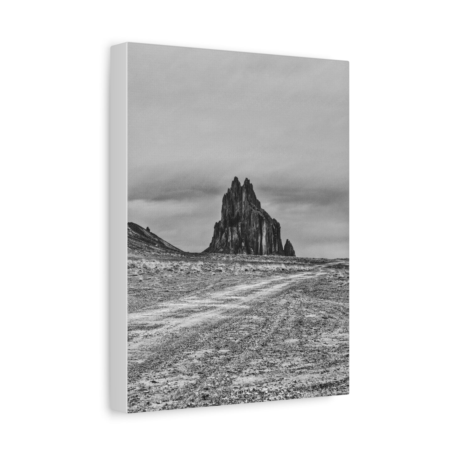 Black Sparrow- Eclipse Collection Premium Canvas, Stretched, 1.25"