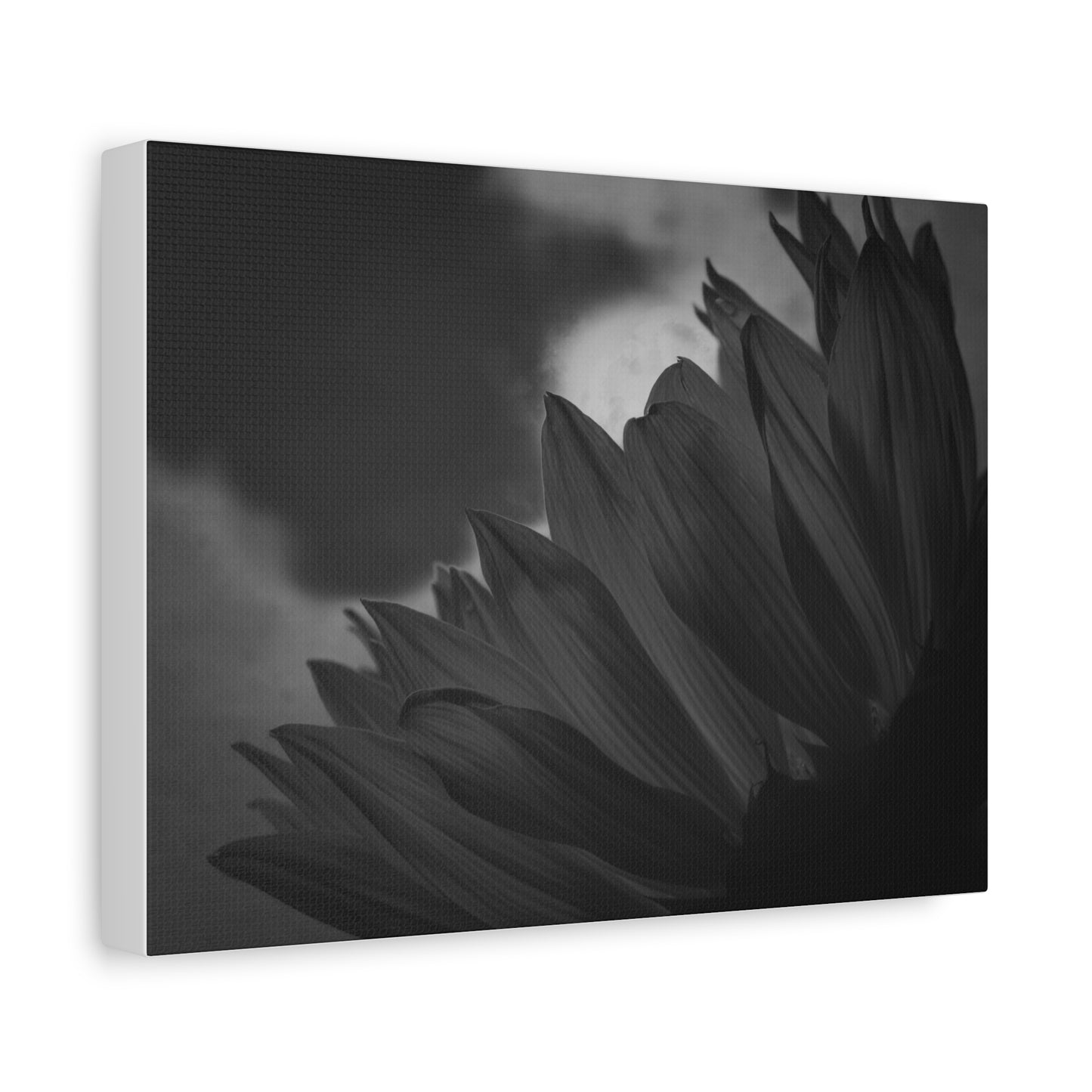 Negative Beauty- Eclipse Collection Premium Canvas, Stretched, 1.25"